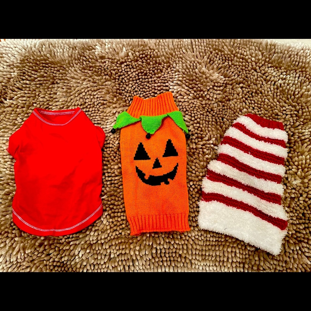 Christmas candy cane dog sweater